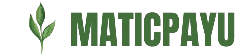 maticpayu.com